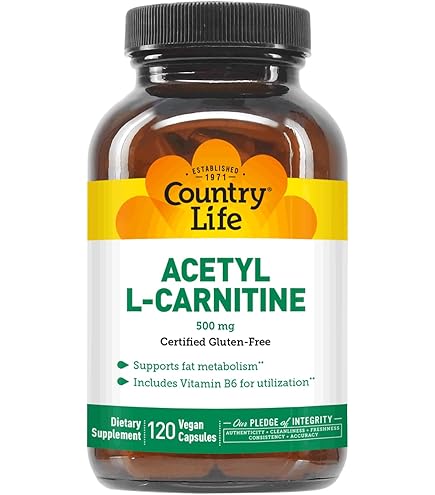l carnitine vitamin world L-Carnitine Liquid, Triple Strength 3000 mg 16-Ounce main image 0
