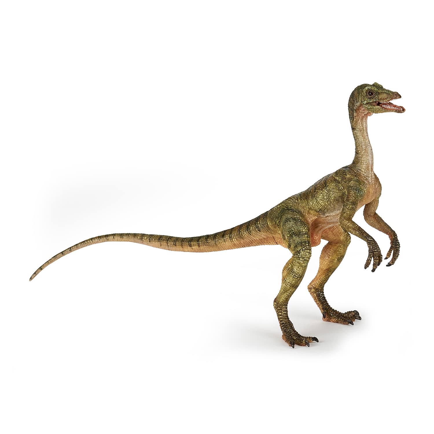 Papo - Detailed Compsognathus Figure Toy for Kids - Ages 3+ - Dinosaurs Collection - Educational Play Dinosaurs And Imagination - Gift Idea Toy for Girls and Boys - 15 Cm