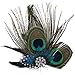 Simplicity Peacock Feather Hair Clip Fascinator with Rhinestones, Nature
