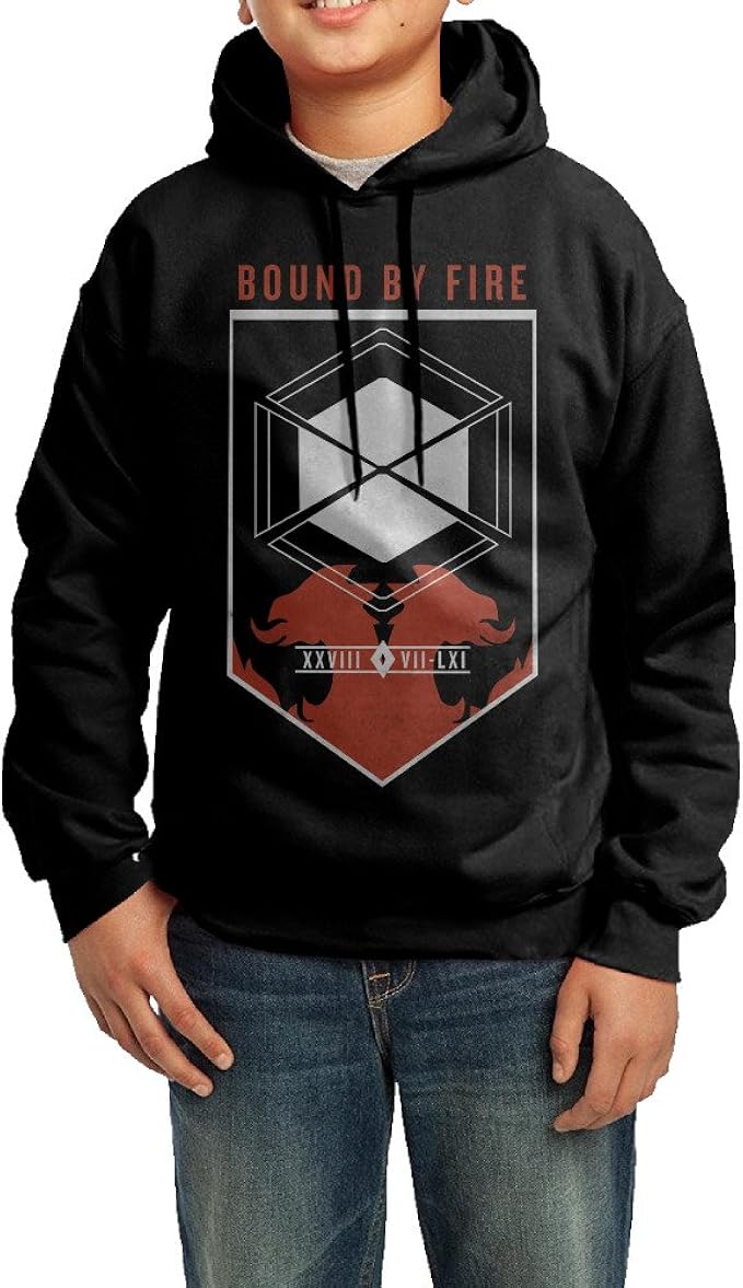 destiny titan hoodie