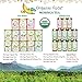 Organic MORINGA ORIGINAL Tea (Loose Leaf Tea). USDA Certified Organic. Rich in Antioxidants and Daily Needed Essential Nutrients. No Artificial Flavors or Preservatives. All Natural!