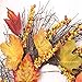 Sannysis Thanksgiving Day Large Wreath with Berry Maple Leaf Fall for Door Wall Ornament Garland Decoration 19.69inch (A)