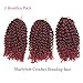 BeautyGrace Pack of 3 Marlybob Crochet Braids Hair Ombre Afro Kinky Curly Braiding Hair Extensions for Girl Women(8