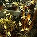 GDEALER Solar String Lights 30LED 20ft Dragonfly Waterproof Solar Powered String Lights Fairy Lights Decorative Lighting for Landscape Patio Garden Bedroom Christmas Party Wedding Warm White (1)