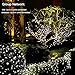 Brizled LED Christmas Lights, 200 LED 65ft Dimmable Mini String Lights, Bluetooth LED Lights Controlled by iOS & Android Devices, Ideal for Wedding, Bedroom, Holiday and Party Decorations, Cool White
