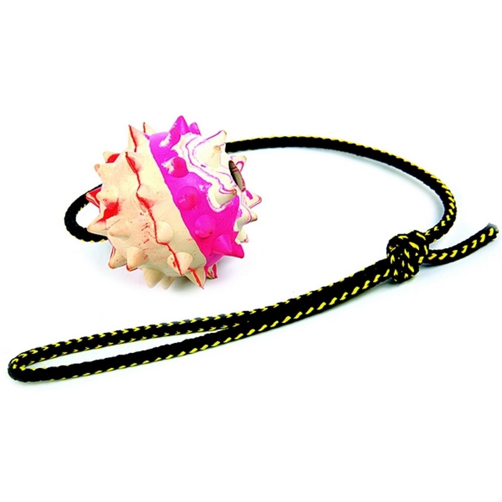 Dingo Fetch Ball Made of Hard Tough Rubber with a String, Large, for Aport Game Dog Training 17323
