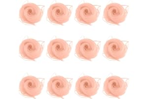 Larcele 12pcs Juggling Silk Dance Scarves for Magic Tricks Performance Props Accessories 24 by 24 Inches WDSJ-02 (Peach Color)