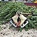 Miniature Fairy Garden Ice Skates, Set of 2