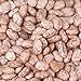 Dried PINTO Beans 10 LB by AIVA