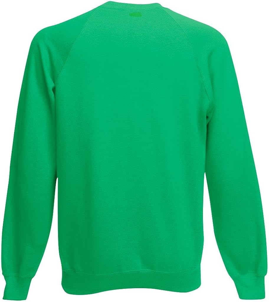 fruit of the loom mens hoodies