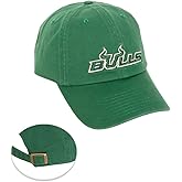 Desert Cactus University of South Florida Baseball Hat USF Bulls Brimmed Embroidered Hats Cap Adjustable Cloth Strap Adult (Style F) Green