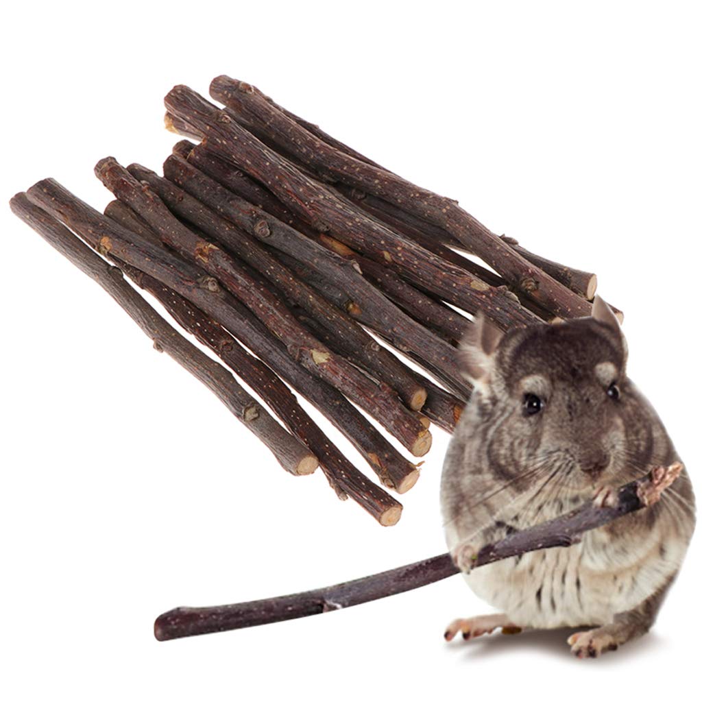 Download Autone 20pcs Apple Tree Branch Natural Chew Stick Toys for Hamster Squirrel Parrots Rabbits ...