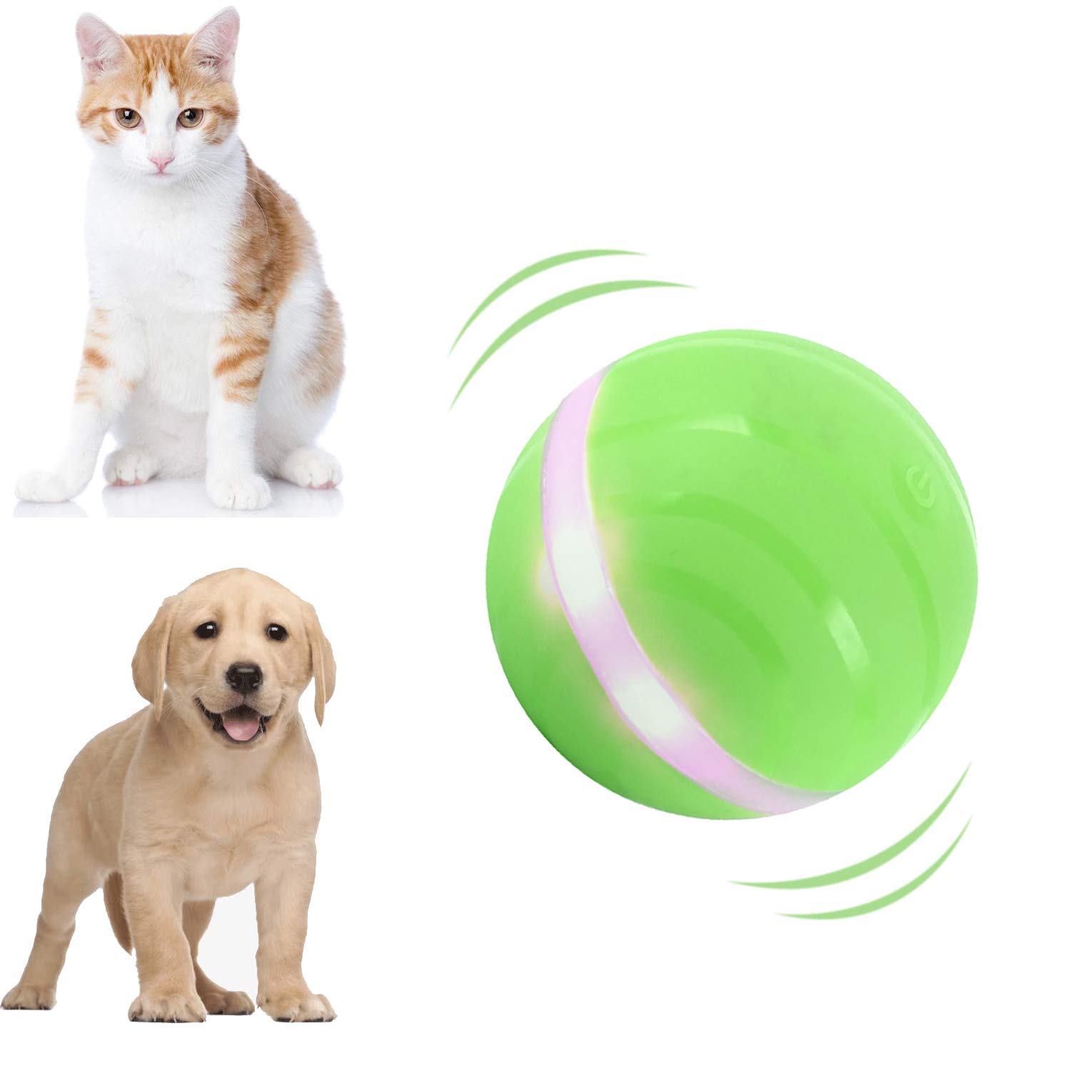 What Toys Are Best for Dogs With Separation Anxiety Better dog