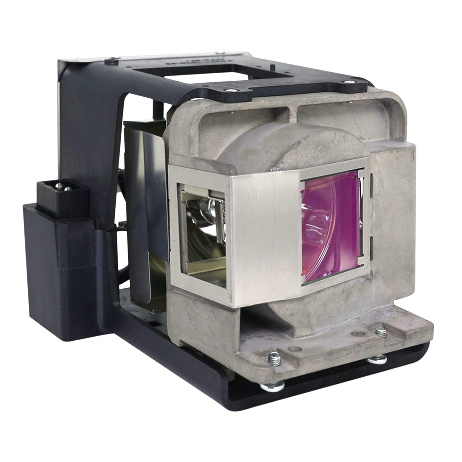 Visdia BL-FU310A Replacement Projector Lamp with Housing for OPTOMA EH501 RX825 W501 X501 Projectors