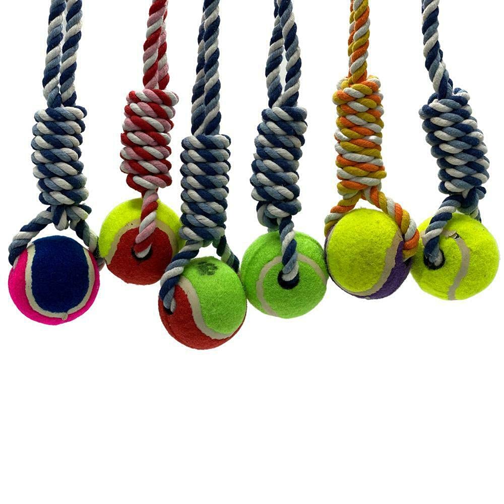 DreamzFit - 6PCs Pet Dog Rope Chew Tennis Ball Rope Tug Toy Puppy Clean Teeth Bite Ball