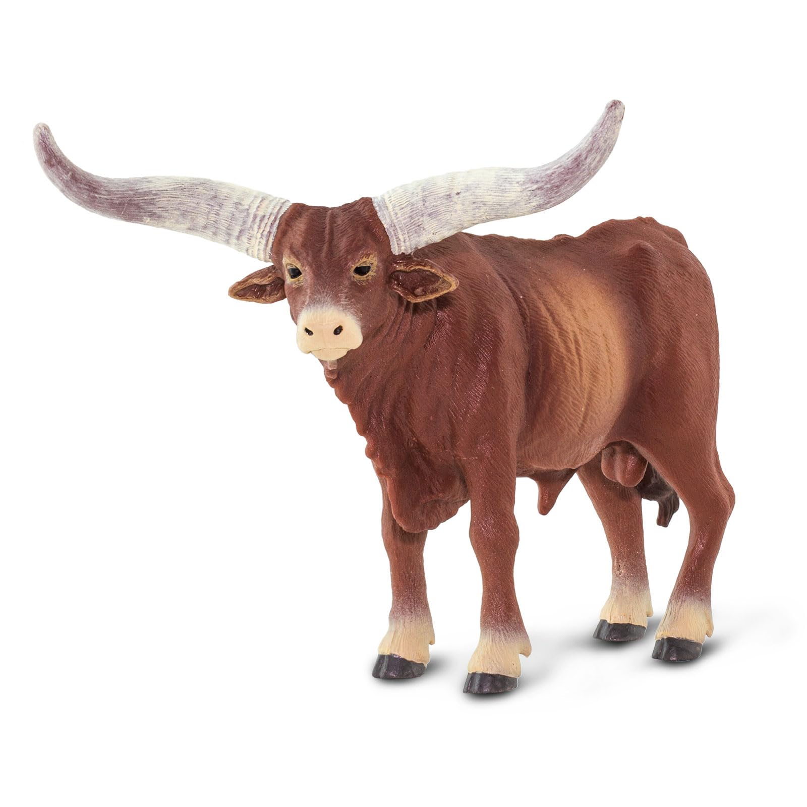 Safari Ltd. Watusi-Bulle 15.2 cm | Farm Animals | Non-Toxic and BPA Free | Non-Toxic and BPA Free | Suitable for Children Aged 3+
