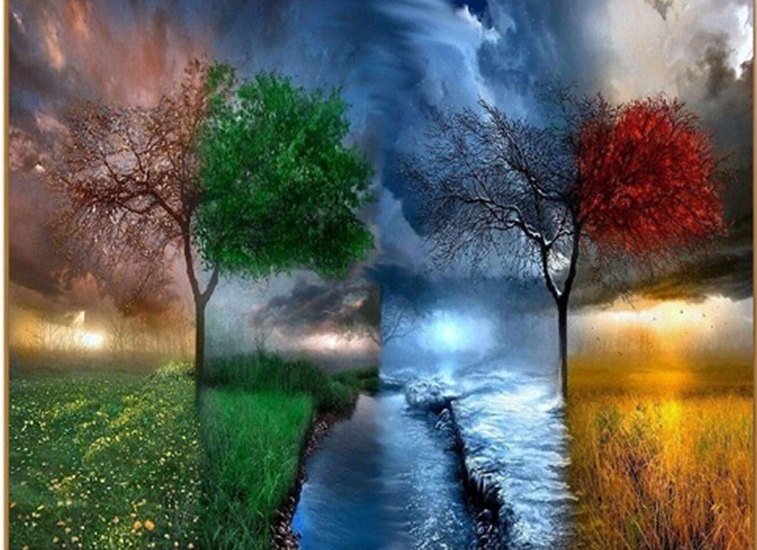 WOWDECOR Paint by Numbers Kits for Adults Kids, Diy Oil Painting - Colorful Four Seasons Tree 16x20 inch (Frame)