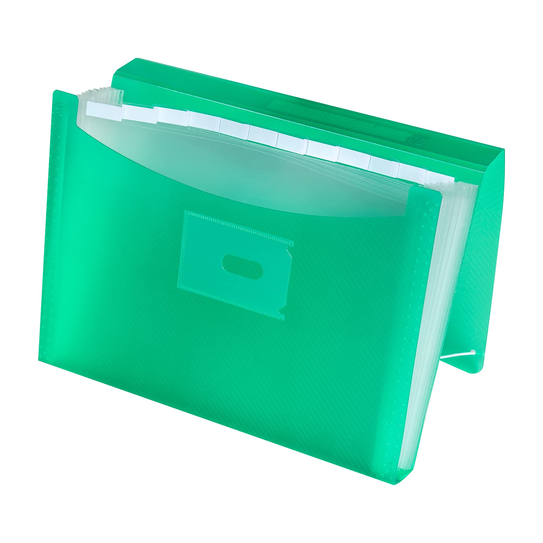 Oxford, Accordion Folder A4+, Translucent Plastic Cover, 13 Pockets, Green
