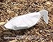 Sillosocks Econo Snow Goose Decoys 10dz. Pack (SS1470) by Sillosock Decoys