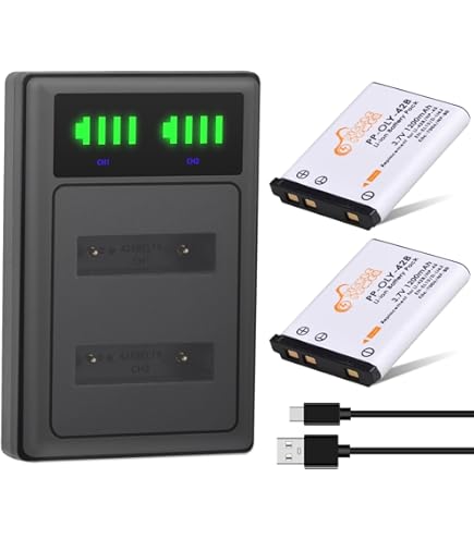 Amazon.com : 2 Pack - Replacement for Fujifilm FinePix SL1000