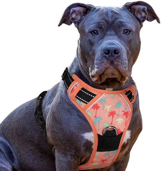 bird cage feeder no mess