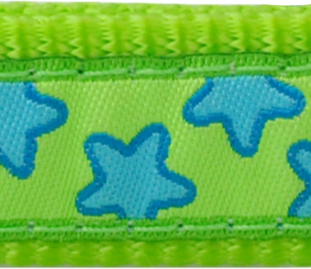Red Dingo Bucklebone Dog Collar Design, Stars Turquoise on Lime Green, Medium 20mm, M (Pack of 1) - Image 4