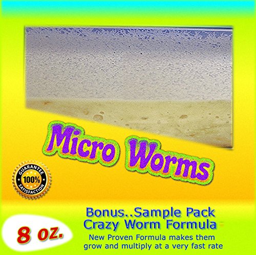Insectsales.com Micro Worm Producing Culture (Live 8 oz.).1000's of Worms in The Culture