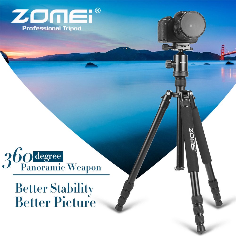 View 8