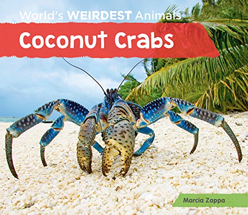 Coconut Crabs (World's Weirdest Animals)