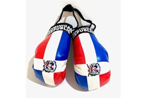 PRK 14 Dominican Boxing Gloves Flags for car Accessories Dominican Republic Flag DR Hanging Rearview Mirror Design (1)