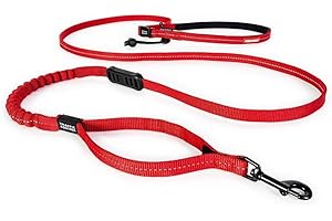 EzyDog Road Running Leash for Small Dogs - Perfect for Dogs 26 lbs or Less - Best Hands-Free Walking & Jogging Zero Shock Bungee Dog Leash - Reflective Stitching & Adjustable Waist Belt (Lite, Red)