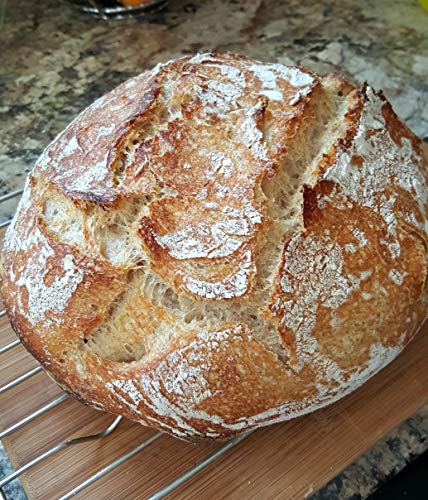 Wild Wheat Sourdough Starter Dehydrated