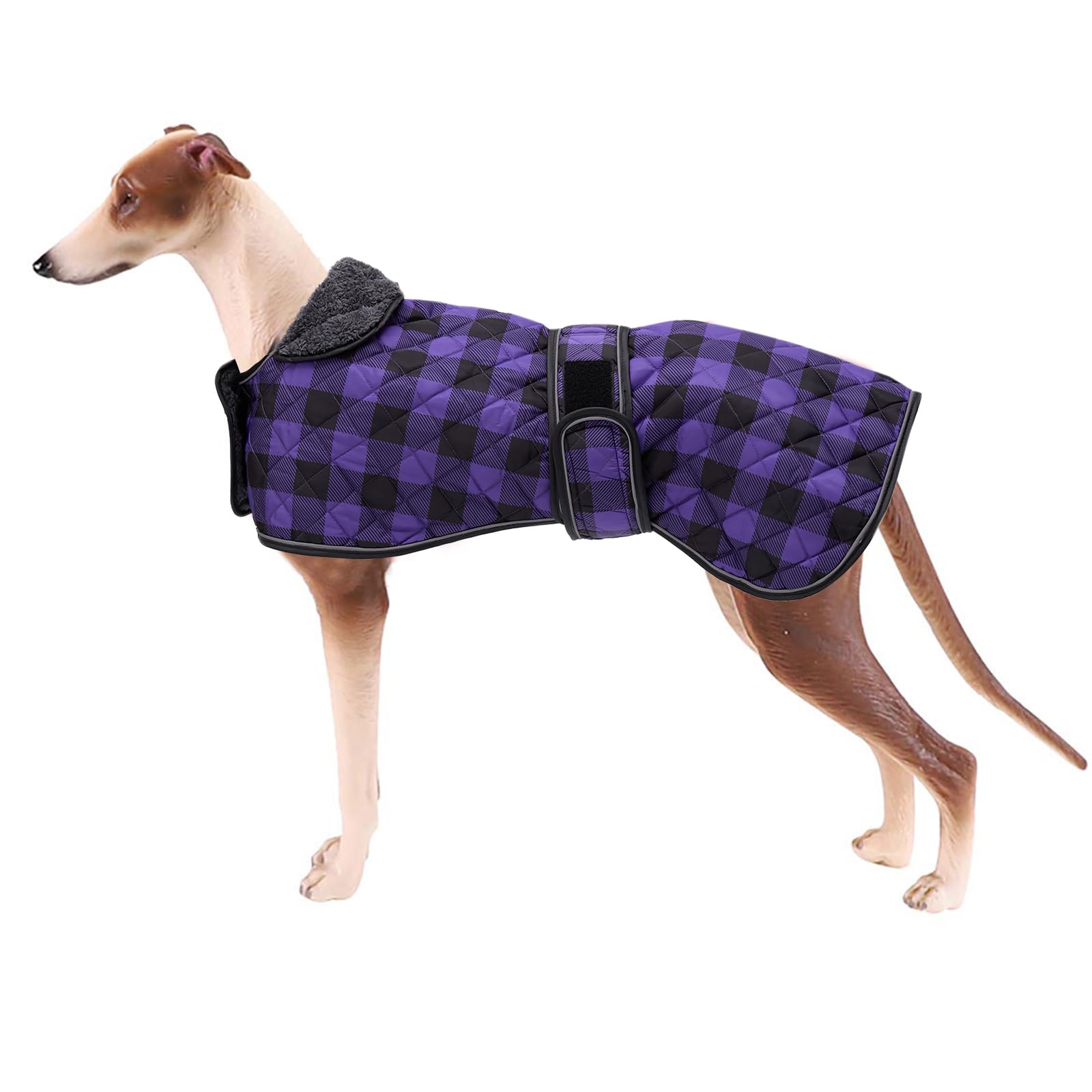 Geyecete Waterproof Greyhound Whippet Lurcher Coat - Warm Fleecy Lining Inside Outdoor Apparel With Adjustable Bands for Medium, Large Dogs - Purple - XS — image 1