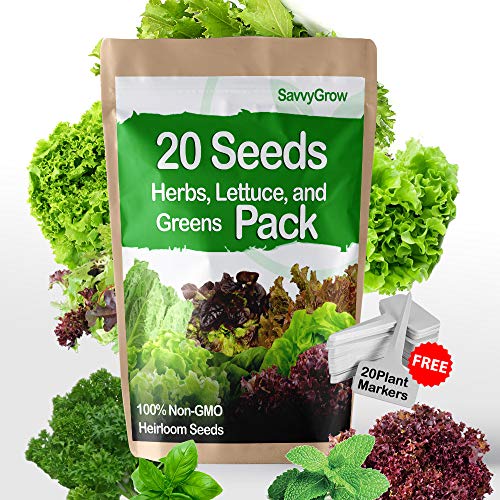 SavvyGrow Herb Lettuce Green Seeds Combo 20 Variety 4000+ Heirloom