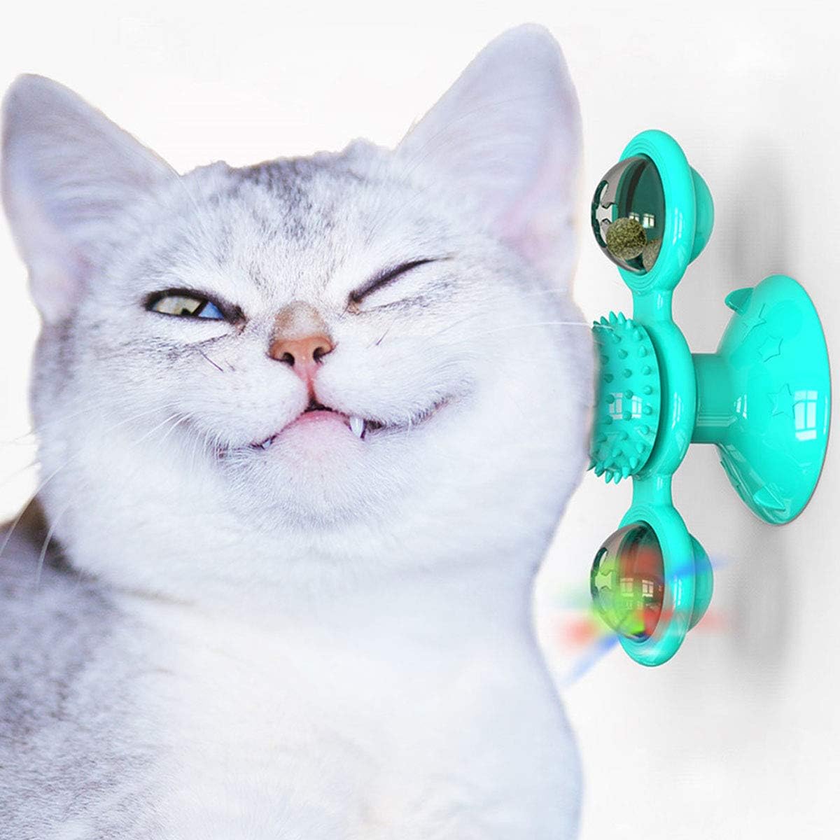 cat spin toy
