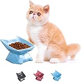 Jemirry Raised Cat Bowl, Ceramic Elevated Cat Bowl Cat Dish, Tilt Angle Protect Cat's Spine-Blue