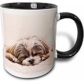 3dRose Ceramic Shih Tzu Sleeping Best Friend Mug, 1 Count (Pack of 1), Black