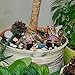 Mood Lab Fairy Garden - Miniature Fairies - Figurines & Accessories Bees Set of 9 pcs - Hand Painted Kit for Outdoor or House Decor