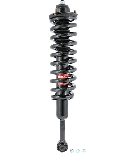 Amazon.com: Monroe OESpectrum 173076 Suspension Strut and Coil