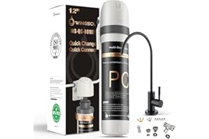 WINGSOL 𝗪𝗜𝗡𝗚𝗦𝗢𝗟 Under Sink Water Filter System with Stainless Steel Faucet, Reduces Chlorine, Heavy Metals, Bad Taste, Sediment, NSF/ANSI 42&53, 8K, Easy Installation Sink Water Filter, Black Faucet