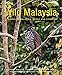 Wild Malaysia: The Wildlife, Scenery, and Biodiversity of Peninsular Malaysia, Sabah, and Sarawak