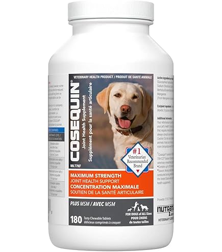 Nutramax Cosequin DS Plus with MSM Chewable Tablets, 132 Count