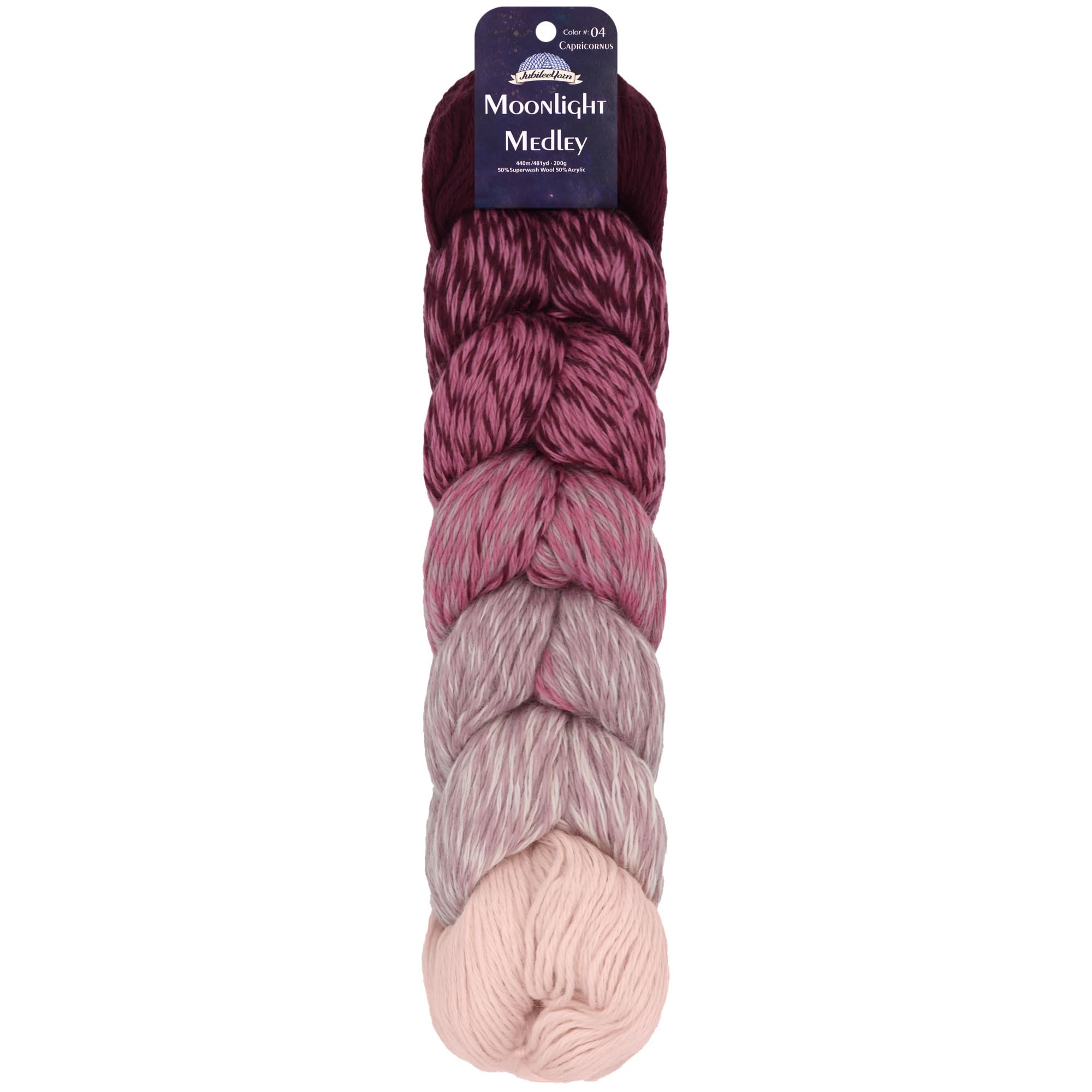 JubileeYarn Moonlight Medley Yarn - Ombre DK Weight Merino Wool/Acrylic - 200g/Hank - Libra - 1 Skein