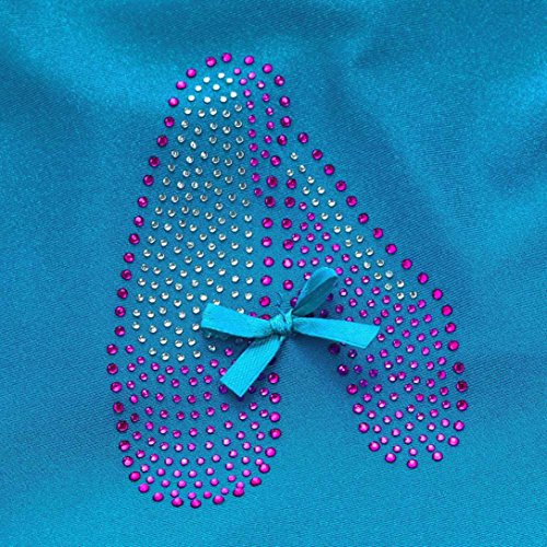 Toddler Girls Gauze Leotards Bodysuit Dancewear Dress Short Sleeve Ballet Skirts (Blue, 24M)