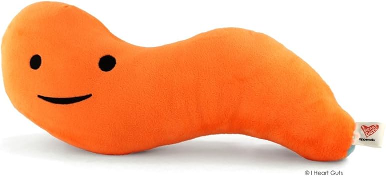 appendix stuffed animal