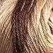Caron (3 Pack Simply Soft 100% Acrylic Soft Coffee Latte Brown Beige Yarn for Knitting Crocheting Medium #4