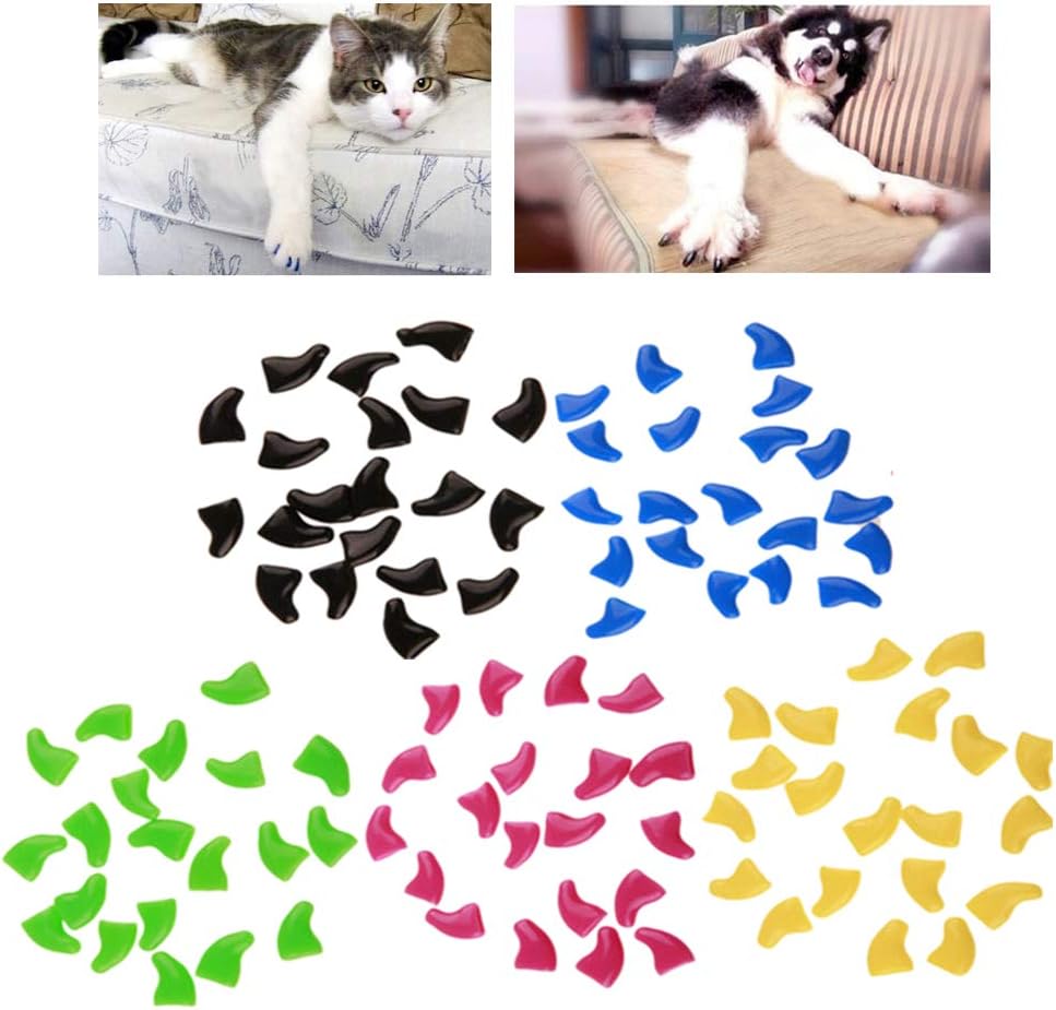 claws and paws grooming