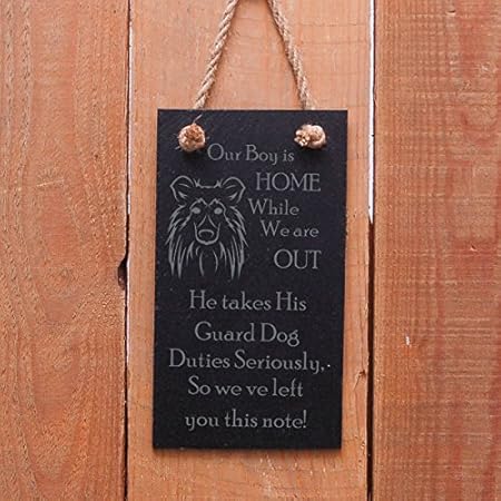 Portrait Slate Hanging Sign Long Haired Border Collie Motif