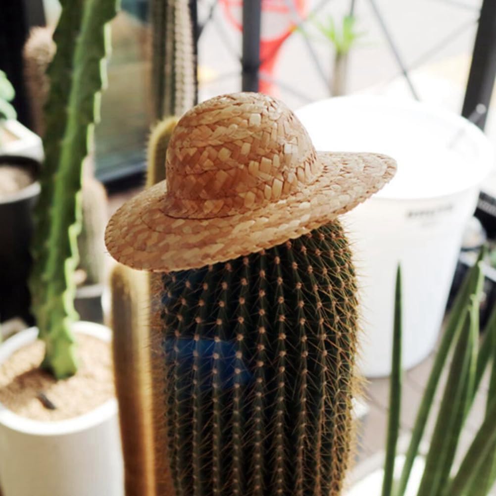 View 3