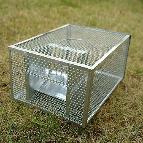 Metal Live Mouse Trap Cage Animal Mice Rat Control Catch